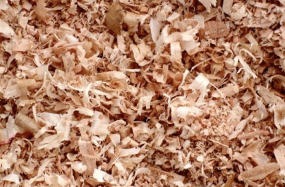 Can you use cedar shavings for chickens